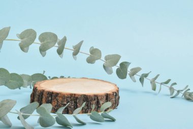 Podium for product presentation. Minimalistic scene of a felled tree with a branch of eucalyptus on a blue background. clipart