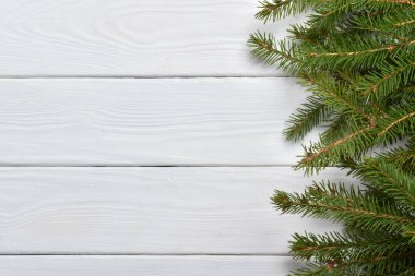 Yılbaşı ağacı dallarının minimum konsepti. Uzayı kopyala Düz yatış, üst görünüm.