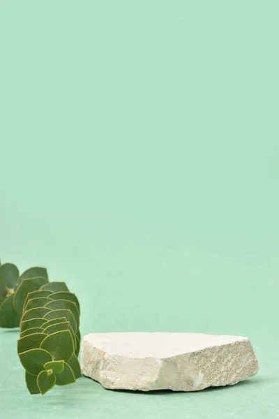 Escena minimalista de una piedra tendida con una rama de eucalipto sobre un fondo verde claro. — Foto de Stock