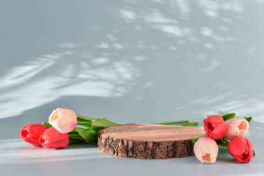 Açık mavi arka planda lale çiçekleriyle kesilmiş bir ağacın minimalist bir sahnesi. Mal ve kozmetik sunumu için podyum. Doğal ürünler sahnesi olan bir vitrin.