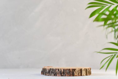 Gri arka planda yaprakları olan kesilmiş bir ağacın minimalist fiyatı. Eko-ürünler için podyum.