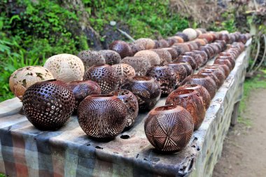 lambalar oyulmuş bir Hindistan cevizi ağacı, bali, Endonezya.