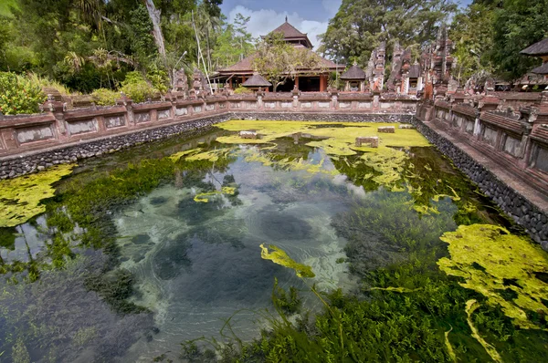 Templo Tirta Empul. Bali, Indonésia . — Fotografia de Stock