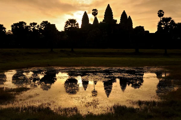 Angkor wat tempel, siem oogsten, cambodia. — Stockfoto