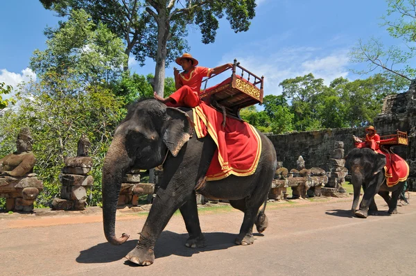Elefant Rider för turister på Kambodjas mest kända turistattraktion, det templet angkor wat i siem reap, Kambodja. — Stockfoto
