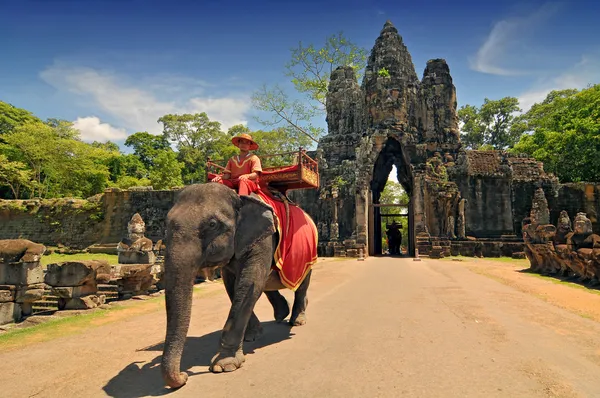 Paseos en elefante para turistas en la atracción turística más famosa de Camboya, el templo Angkor Wat en Siem Reap, Camboya . — Foto de Stock