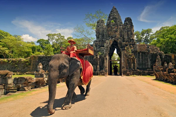 Elefant Rider för turister på Kambodjas mest kända turistattraktion, det templet angkor wat i siem reap, Kambodja. Stockfoto