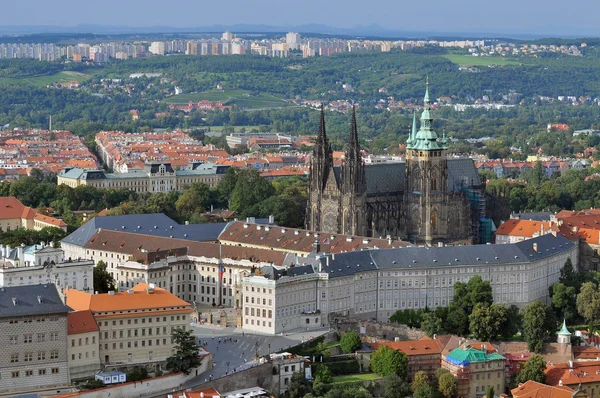 View of the cathedral of St. vitus, prague. — стоковое фото