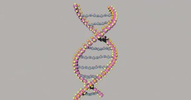 DNA gökkuşağının altında dönüyor.