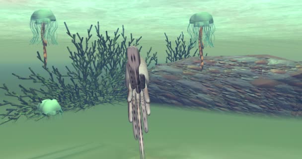 海床上的章鱼 — 图库视频影像