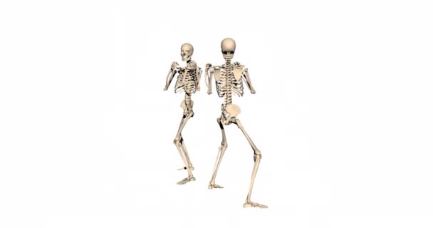 Dois Esqueletos Caixa Uns Com Outros — Vídeo de Stock