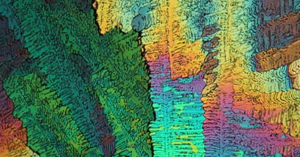 Kolorowe Kryształy Mocznika Świetle Polaryzacyjnym Obracają Się Pod Mikroskopem — Wideo stockowe