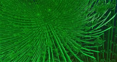 Renkli Elma Adam Fractales 'in videoları