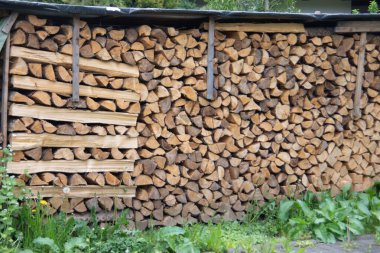 Bahçede yakacak odunu olan büyük bir odun yığını.