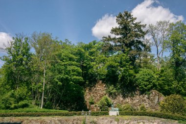 Forest at Castle Wittgenstein on the Hill of Bad Laasphe