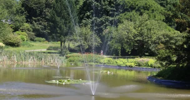 Great Fountain Botanical Garden Solingen — Stock Video