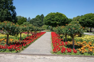Botanik Bahçesi Ağaçlı ve çiçekli Solingen