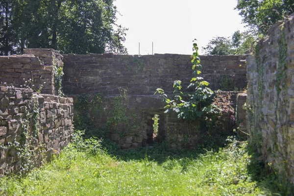 Ruines Forteresse Blankenberg Allemagne — Photo