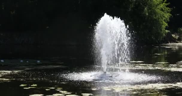 Scorre Acqua Città — Video Stock