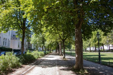 Yazın ağaçlarla dolu gölgeli bir cadde.