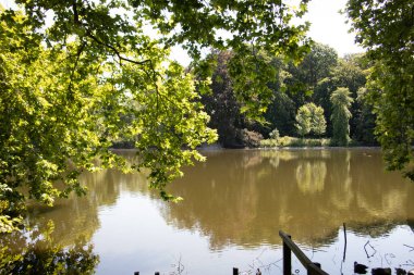 Ağaçları ve çalıları olan büyük göl.