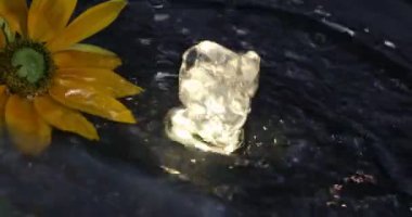 small lighted fountain with beautiful flower