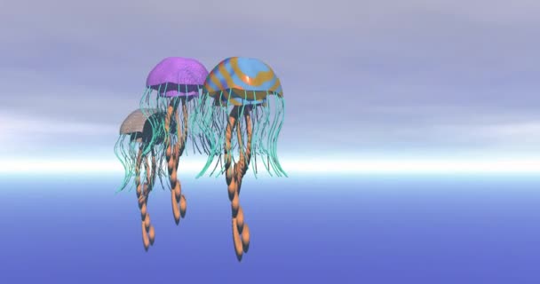 Jellyfish Spanish Galley Swimming Sea — Vídeos de Stock