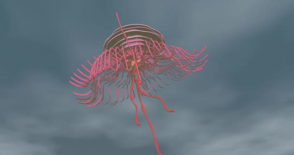 Jellyfish Spanish Galley Swimming Sea — 图库视频影像