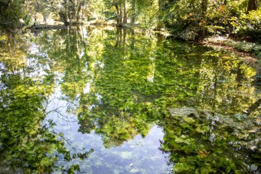 Weiher Şatosu güneş ışığı ve kıyıdaki ağaçlardan yansımalarla
