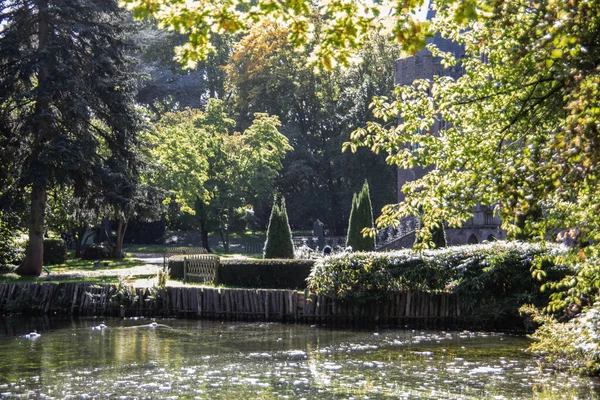 Castelo Weiher Com Reflexos Luz Solar Das Árvores Costa — Fotografia de Stock