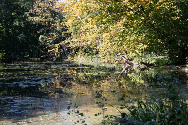 Castelo Weiher Com Reflexos Luz Solar Das Árvores Costa — Fotografia de Stock