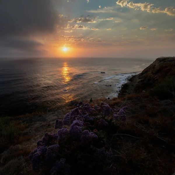 Sunset Viewpoint Point Vincente Lighthouse California — Fotografia de Stock