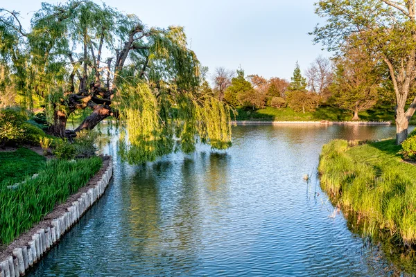 Jardín Botánico de Chicago — Foto de Stock