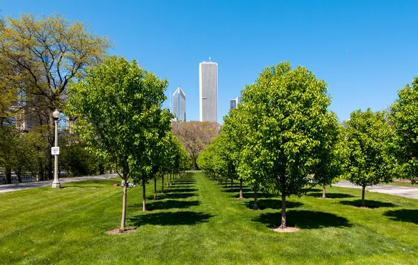 Park, chicago grant — Stok fotoğraf