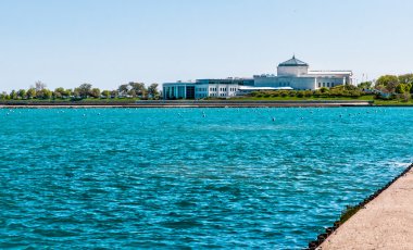 Shedd aquarium, chicago