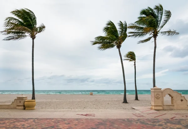Hollywood Beach Broadwalk, a promenade along the Atlantic Ocean, Florida — Stock Photo, Image