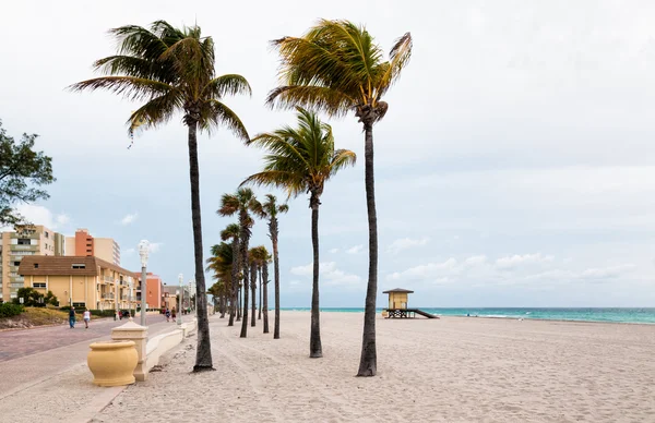 Hollywood Beach Broadwalk, um passeio ao longo do Oceano Atlântico, Flórida — Fotografia de Stock