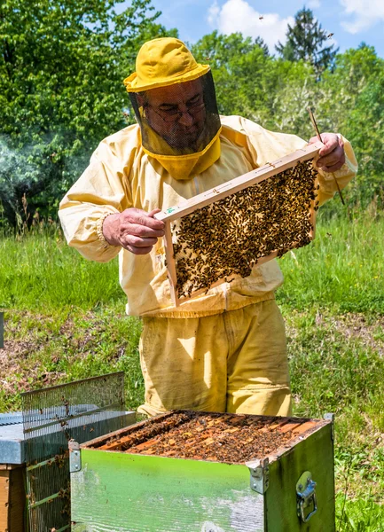 Včelařský Pracuje Včelami Úly Včelaře Koncepce Včelařství — Stock fotografie