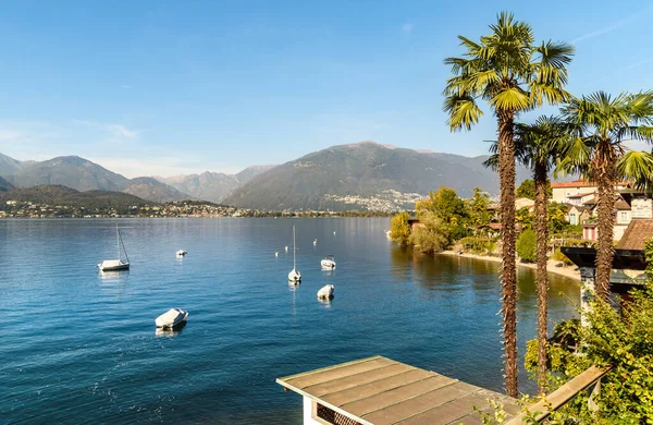 Paisaje Del Lago Mayor Con Palmeras Montañas Gerra Gambarogno Ticino — Foto de Stock