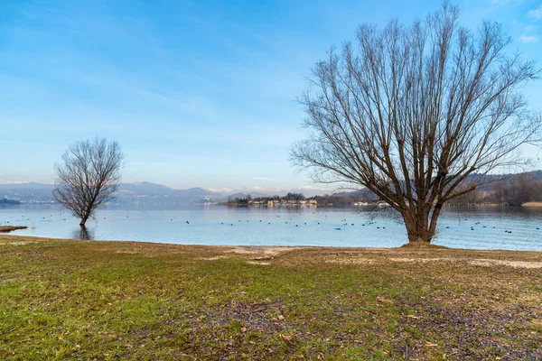 Paisaje Playa Cicognola Entre Lago Maggiore Río Ticino Castelletto Sopra — Foto de Stock