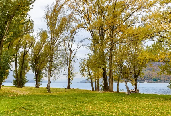 Maccagno Giona Parkı Nın Kumsalı Maccagno Inferiore Varese Talya — Stok fotoğraf