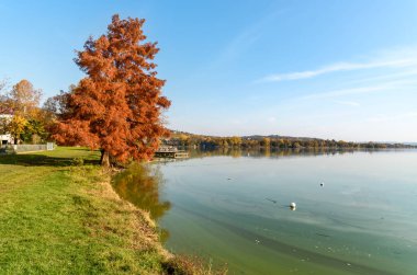 Varese Gölü, Varese, İtalya 'nın Gavirate kentinde Lakeside gezinti alanı ile sonbahar manzarası
