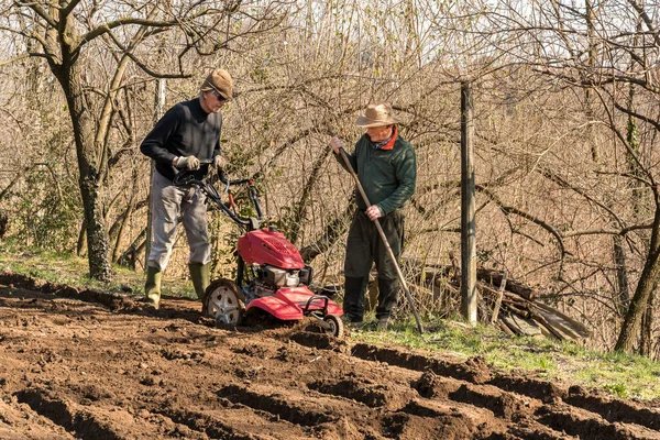 Dos Hombres Mayores Labrando Tierra Con Rototillero Jardín Preparación Jardín — Foto de Stock