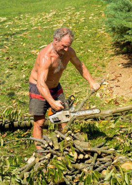 Profesyonel bahçıvan testereyle meyve ağacını keser, sonbahar bahçesi bakımı.
