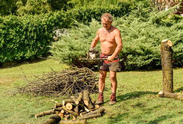 Profesyonel bahçıvan testereyle meyve ağacını keser, sonbahar bahçesi bakımı.