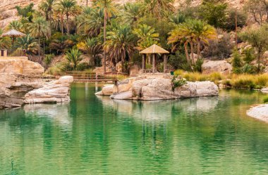 Umman Sultanlığı çölündeki Wadi Bani Khalid vahasının manzarası..