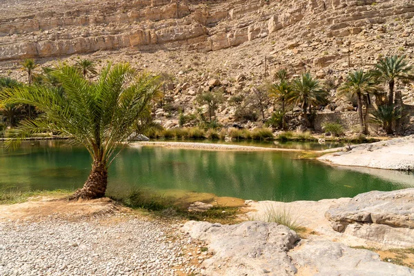 View Wadi Bani Khalid Oasis Desert Sultanate Oman Стоковое Изображение
