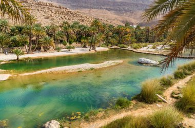View of the Wadi Bani Khalid oasis in the desert in Sultanate of Oman.