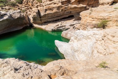 Umman Sultanlığı çölündeki Wadi Bani Khalid vahasının manzarası..