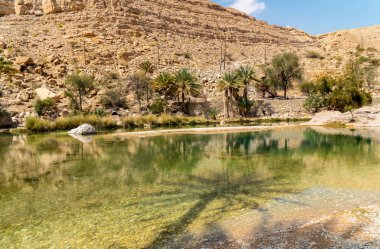 Umman Sultanlığı çölündeki Wadi Bani Khalid vahasının manzarası..
